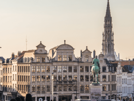 Belgium 2 https://pamgro.com/wp-content/uploads/2023/12/Belgium-2-540x405.png