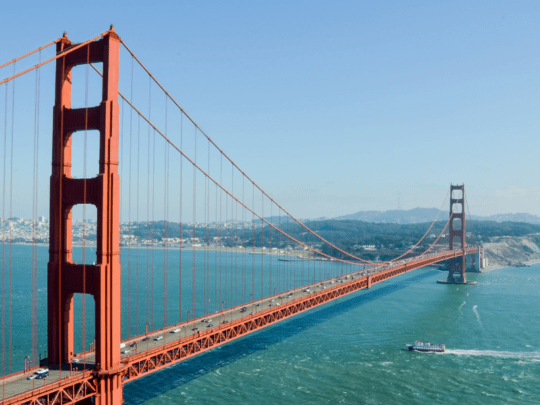 USA 1 https://pamgro.com/wp-content/uploads/2023/12/USA-1-540x405.png