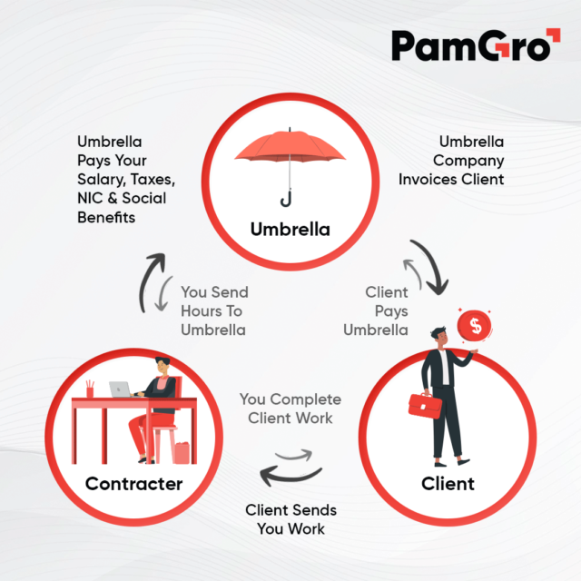 https://pamgro.com/wp-content/uploads/2023/12/what-is-umbrella-company-640x640.png