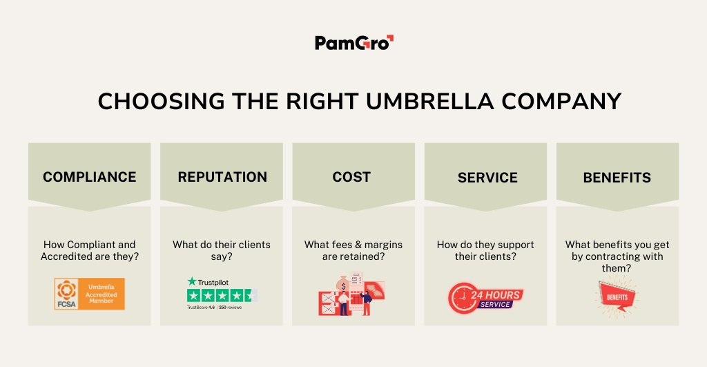 https://pamgro.com/wp-content/uploads/2024/11/choosing-right-umbrella-company.png