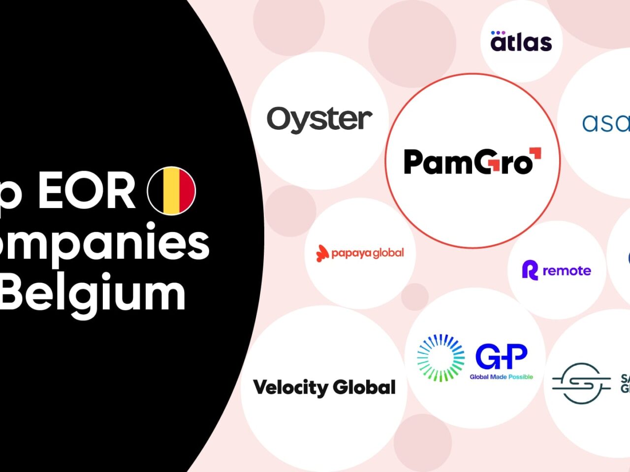 Top Employer of Record Companies in Belgium